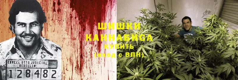 Марихуана THC 21%  MEGA как войти  Химки 